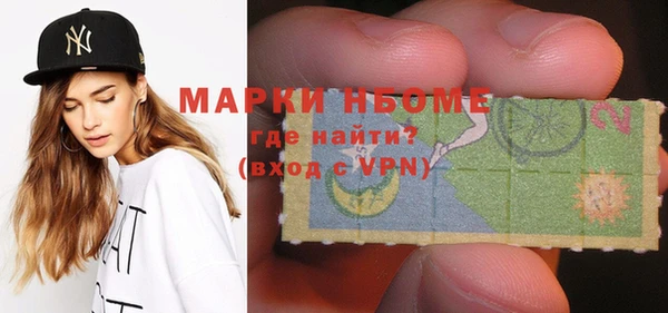 индика Алзамай
