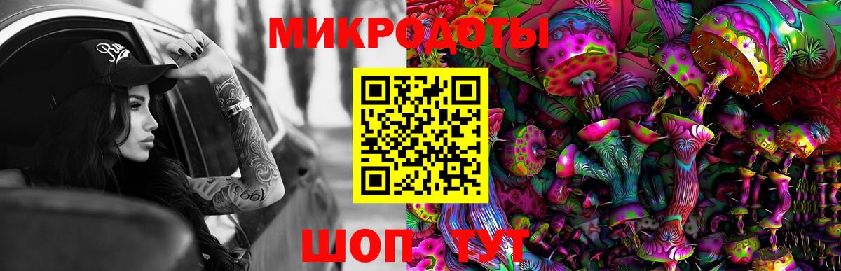 Галлюциногенные грибы Psilocybe Кинешма