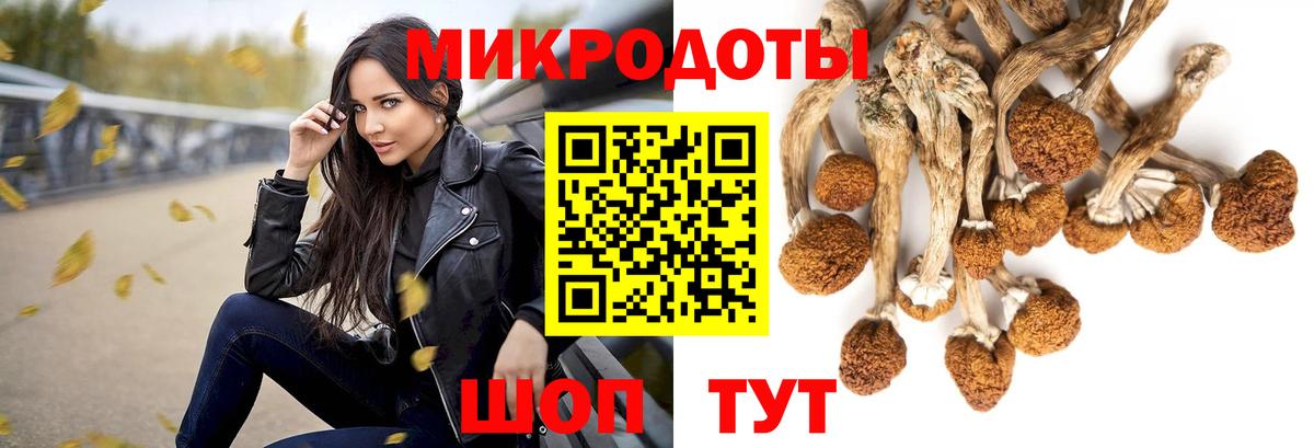 Псилоцибиновые грибы мицелий  Вход с VPN  Кинешма 