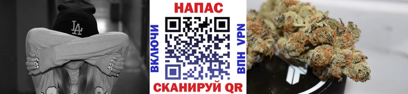 Конопля планчик  дарнет шоп  Кинешма 